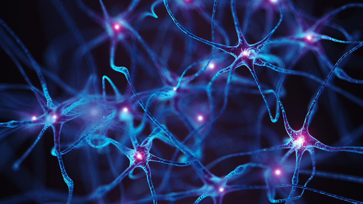 Neurons. Abstract Concept