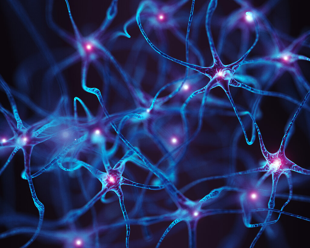 Neurons. Abstract Concept
