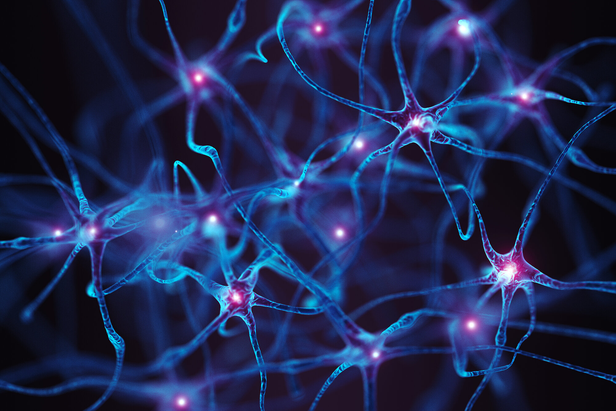 Neurons. Abstract Concept