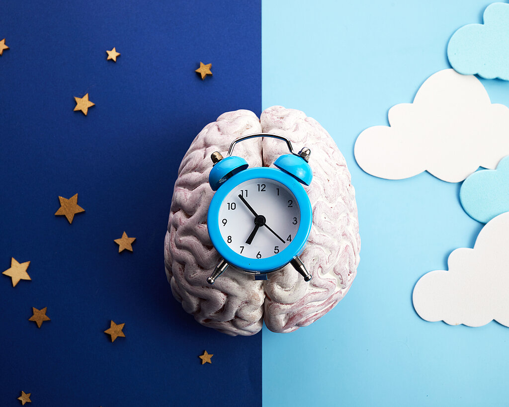 The circadian rhythms are controlled by circadian clocks or biological clock