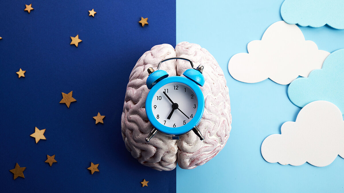 The circadian rhythms are controlled by circadian clocks or biological clock