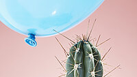 Balloon flying too close to cactus
